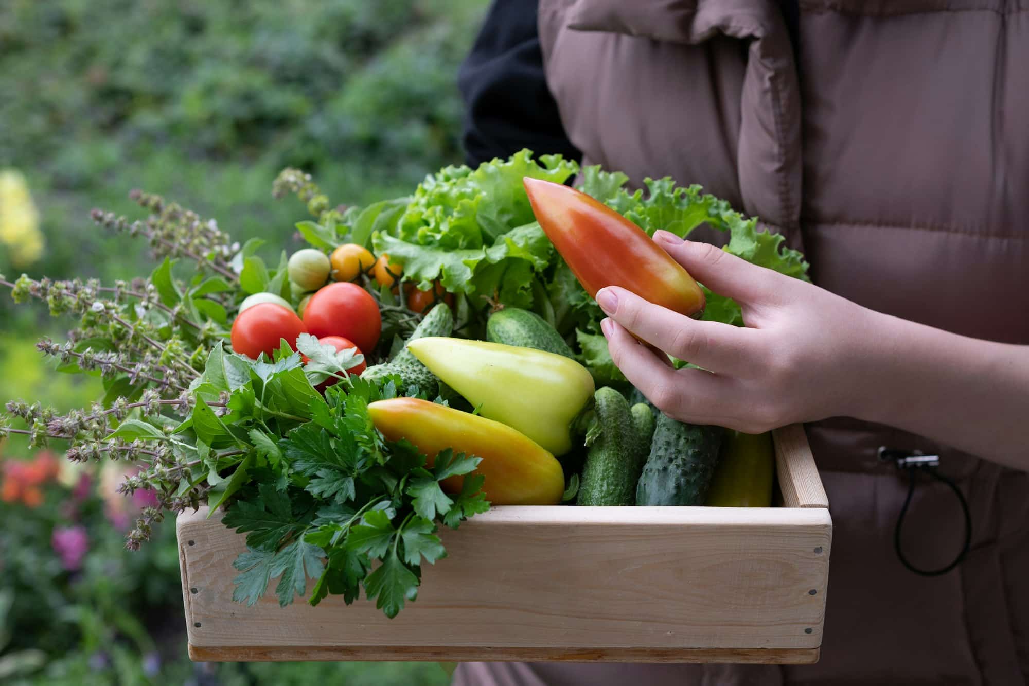 The older woman holds a box of vegetables
