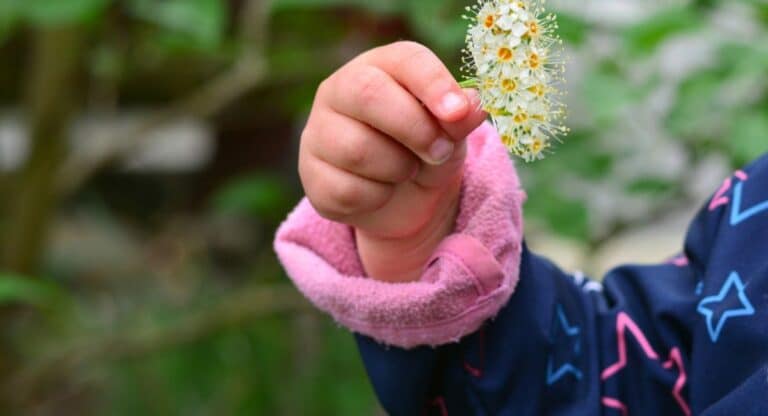 Certaines plantes dans votre jardin sont très dangereuses voir mortelles pour les animaux et enfants, voici la liste.