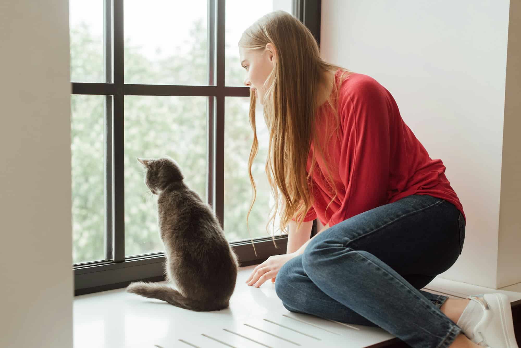 beautiful woman sitting on window sill and looking at window near cute cat