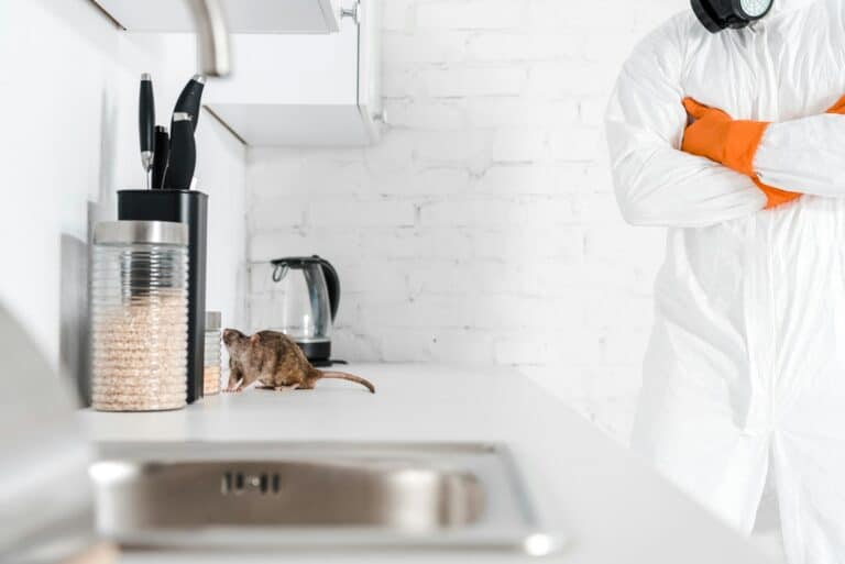 cropped view of exterminator standing with crossed arms near rat on table