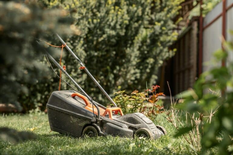 black electric lawn mower in a private garden on a clear sunny day