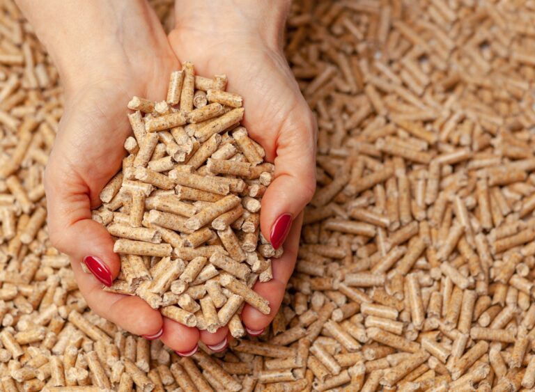 Wood pellets in hands.